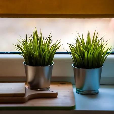 Cosy 2-room Near The Centre Apartman