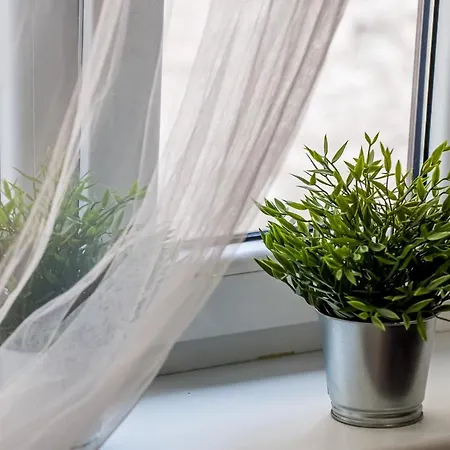 Cosy 2-room Near The Centre *